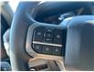 2024 Ford F-150 XLT (Stk: P25-17) in Embrun - Image 12 of 22