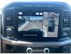2024 Ford F-150 XLT (Stk: P25-17) in Embrun - Image 17 of 22