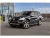 2010 Mercedes-Benz GL-Class Base (Stk: B8812B) in Calgary - Image 2 of 3