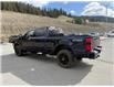 2023 Ford F-350 XLT (Stk: 4P008) in Williams Lake - Image 3 of 13