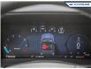 2025 Ford F-150 XLT (Stk: 25F1168) in Newmarket - Image 15 of 26