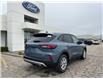 2025 Ford Escape Active (Stk: LFEP00468) in Tilbury - Image 3 of 14