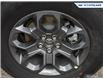 2025 Ford Maverick XLT (Stk: 25MV251) in Newmarket - Image 6 of 26