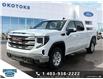 2023 GMC Sierra 1500 SLE (Stk: B85215) in Okotoks - Image 1 of 26