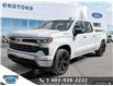 2022 Chevrolet Silverado 1500 LT (Stk: B85198) in Okotoks - Image 1 of 26