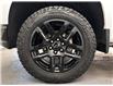 2021 Chevrolet Silverado 1500 LT Trail Boss (Stk: 300343) in Lethbridge - Image 12 of 29