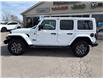 2025 Jeep Wrangler Sahara (Stk: 7408) in Fort Erie - Image 7 of 25