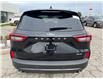 2025 Ford Escape ST-Line (Stk: LFEP00797) in Tilbury - Image 4 of 15