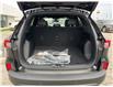 2025 Ford Escape ST-Line (Stk: LFEP00797) in Tilbury - Image 5 of 15