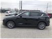 2025 Mazda CX-5 GS (Stk: CMGN00156) in Chatham - Image 8 of 20
