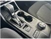 2025 Ford Ranger XLT (Stk: 25114) in Port Alberni - Image 21 of 27