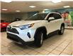 2025 Toyota RAV4 Limited (Stk: 250632) in Calgary - Image 2 of 21