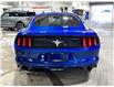2017 Ford Mustang V6 (Stk: DU8098) in Ottawa - Image 5 of 15