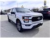 2023 Ford F-150 XL (Stk: X58605) in Richmond - Image 13 of 29