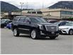 2017 Cadillac Escalade Platinum (Stk: 58B11580) in Penticton - Image 3 of 25