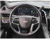 2017 Cadillac Escalade Platinum (Stk: 58B11580) in Penticton - Image 11 of 25