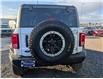 2024 Ford Bronco Black Diamond (Stk: 19147A) in Calgary - Image 4 of 22