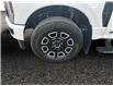 2025 Ford F-350 Platinum (Stk: 25T042) in ROCKY MOUNTAIN HOUSE - Image 14 of 15