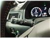 2025 Honda Ridgeline TrailSport (Stk: 3893) in Lethbridge - Image 20 of 24