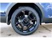 2025 Kia Sorento 2.5T X-Line (Stk: SSR8661) in Sherwood Park - Image 11 of 15