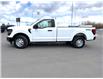 2024 Ford F-150 XL (Stk: C515894A) in Cranbrook - Image 2 of 18