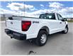2024 Ford F-150 XL (Stk: C515894A) in Cranbrook - Image 5 of 18