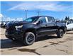2025 Chevrolet Silverado 1500 LT Trail Boss (Stk: N250394) in Stony Plain - Image 2 of 50