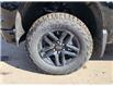 2025 Chevrolet Silverado 1500 LT Trail Boss (Stk: N250394) in Stony Plain - Image 4 of 50