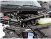 2025 Ford F-150 XLT (Stk: SK-238) in Okotoks - Image 6 of 23