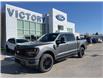 2025 Ford F-150 XLT (Stk: VF1F00761) in Chatham - Image 22 of 22