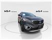 2017 Kia Sorento 3.3L EX (Stk: SP25-402A) in Victoria, BC - Image 3 of 24