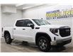 2025 GMC Sierra 1500 Pro (Stk: S1373) in Watrous - Image 2 of 37