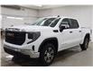 2025 GMC Sierra 1500 Pro (Stk: S1373) in Watrous - Image 4 of 37