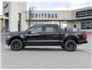 2025 Ford F-150 XLT (Stk: 25F5959) in Mississauga - Image 6 of 26
