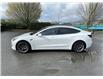 2019 Tesla Model 3 Standard Range Plus (Stk: M25-0197A) in Chilliwack - Image 7 of 22