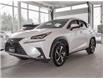 2021 Lexus NX 300 Base (Stk: PL25021) in Kingston - Image 1 of 17