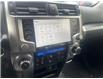 2024 Toyota 4Runner Base (Stk: CP12391) in Chatham - Image 6 of 10
