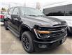 2025 Ford F-150 XLT (Stk: 256148) in Vancouver - Image 2 of 3