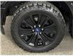 2020 Ford F-150 XLT (Stk: 42297J) in Belleville - Image 27 of 29
