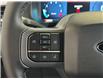 2025 Ford F-150 XLT (Stk: 25091) in Port Alberni - Image 24 of 25