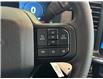 2025 Ford F-150 STX (Stk: 25111) in Port Alberni - Image 27 of 53