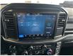 2025 Ford F-150 STX (Stk: 25111) in Port Alberni - Image 46 of 53