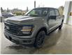 2025 Ford F-150 XLT (Stk: 25088) in Port Alberni - Image 8 of 17