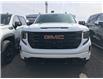 2025 GMC Sierra 1500 Elevation (Stk: 19074320) in Pincher Creek - Image 2 of 13
