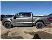2025 Ford F-150 XLT (Stk: 25DFT017) in Drayton Valley - Image 4 of 9