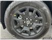 2025 Ford Bronco Sport Big Bend (Stk: S-175) in Calgary - Image 6 of 20