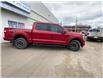 2021 Ford F-150 Lariat (Stk: 267298) in Brooks - Image 5 of 13