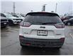 2019 Jeep Cherokee Trailhawk (Stk: 04365-OC) in Orangeville - Image 4 of 22