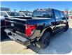 2025 Ford F-150 XLT (Stk: 25-0137) in Prince Albert - Image 5 of 12