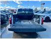 2025 Ford F-150 STX (Stk: 25-0127) in Prince Albert - Image 6 of 12